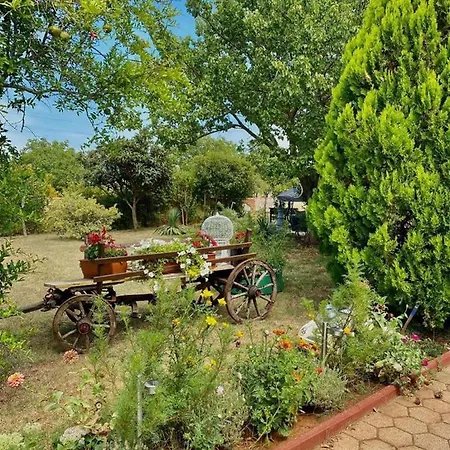 Apartment Zara Apartman Pula